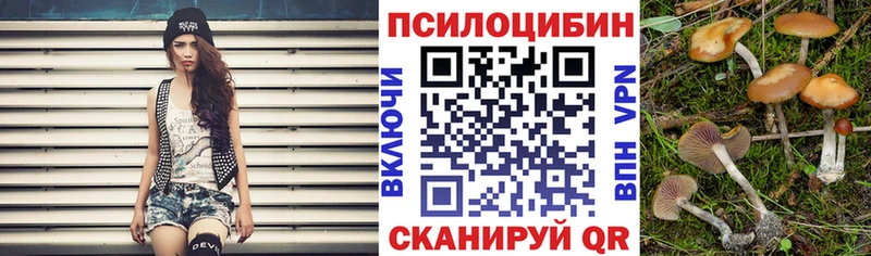 Галлюциногенные грибы Psilocybine cubensis  MEGA ССЫЛКА  Черногорск 